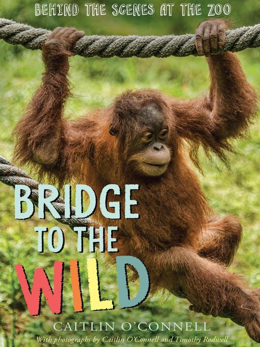 Title details for Bridge to the Wild by Caitlin O'Connell - Wait list
